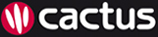 Cactus Language Courses UK
