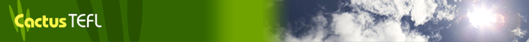 TEFL Course Online
